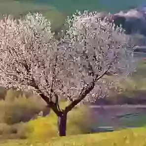 Heart of our journey
